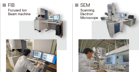 FIB/SEM